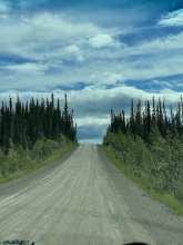 The Dalton Highway opens up to a beautiful blue sky and evergreen trees. 