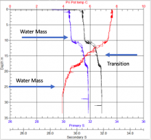 Temperature and Salinity Graph