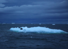 Ice rafted debris floats by the R/V Nathaniel B. Palmer icebreaker