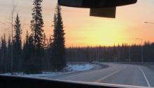 Boreal forest on the drive to UAF