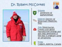 Meet Dr. Robert McCorkell