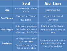 Comparison chart - seals and sea lions