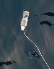 Water Bottle Floating In Arctic Ocean