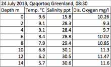 Qaqortoq water Temperature, Salinity, and Dissolved Oxygen Data