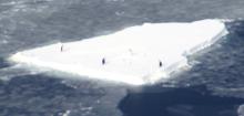 Adelie Penguin On Iceberg