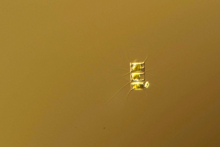 Diatom image (40X)