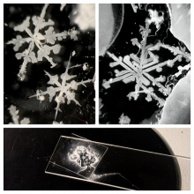 Snowflake collage