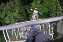 On top of Tower # 3 La Selva Biological Station, Costa Rica