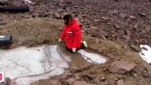 Jackie Hams examines buried ice.