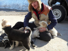 Simon with husky puppies.