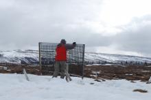 Taking down snow fences
