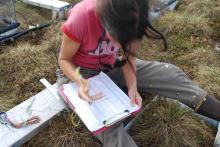 Dr. Natali measuring moss