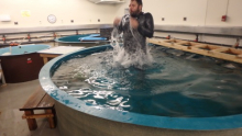 Josh Heward takes a plunge in the seawater tank.