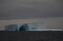 Iceberg on the Southern Seas