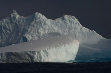 Penguin on an iceberg