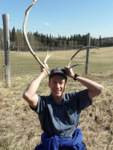 Fun with caribou antlers
