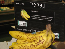 Bananas?