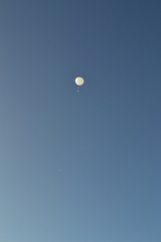 Weather Balloon Quickly Ascending Over Summit Greenland