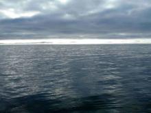 Glassy seas in Barrow Canyon on the afternoon of August 21. Photo courtesy Dr. Carin Ashjian.  August 2014