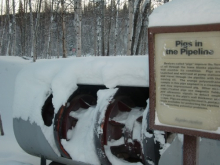 Pipeline Pig
