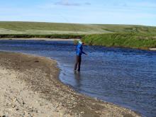 Eric Taber fly fishes on the Arctic tundra.