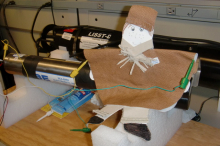 flat stanley in the lab