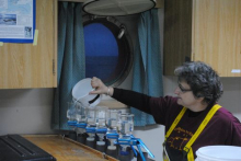 Paula conducting a filtration for phytoplankton from Southern Ocean water