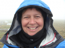 Susan Steiner at Snowmelt project plots at Imnaviat, foggy day