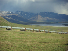 pipeline with mountain backdrop, near PS 4 on Dalton Highway