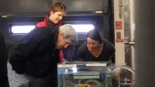 Kerry touch tank