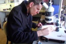 Steve Lane Microscope