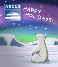 Image of a polar bear watching the northern lights with happy holidays printed above it.