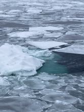 Sea ice, seen from the deck, aboard the Akademik Tryoshnikov in the Laptev Sea. Photo by Jon Pazol (PolarTREC 2021), Courtesy of ARCUS