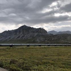 Start of the hike from the Dalton Highway