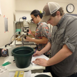 Aaron Toh looking through a microscope and Graham Lobert taking notes in the lab at McMurdo Station, Antarctica.