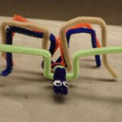 pipecleaner sea spider