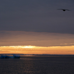 Sunset over the Amundsen Sea, Antarctica