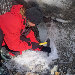 Meredith removing glacial ice to find sub-glacial sediment