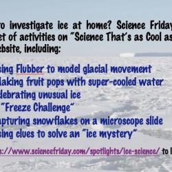 Find activities about glaciers and ice on the Science Friday "Science That's as Cool as Ice" website