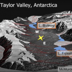 Stability and Change in the McMurdo Dry Valleys