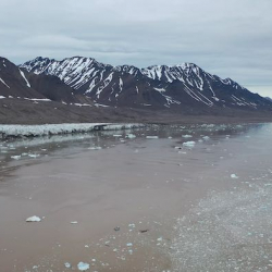 sediment plume in front of Kongsvegen Glacier