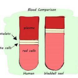 Compare blood