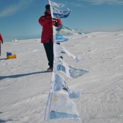 Flags for Ice and Glaciers