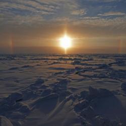Halo arcs and pillars with low arctic sun