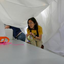 Dr. Phoebe Lam Building The Bubble