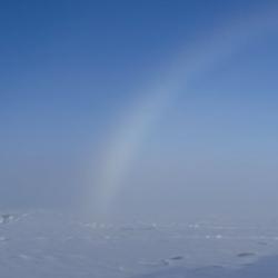 Fogbow over Pack Ice
