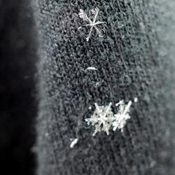 Snowflakes on Jacket