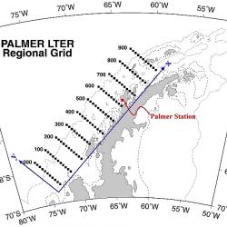 Palmer LTER regional grid
