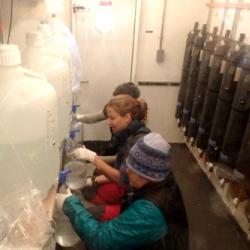 Filling incubation bottles