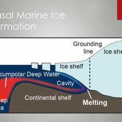 Basal ice formation